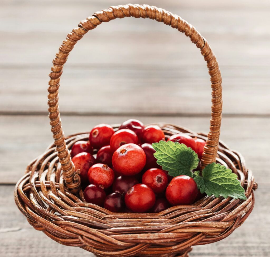 fruits good for kidney : cranberries