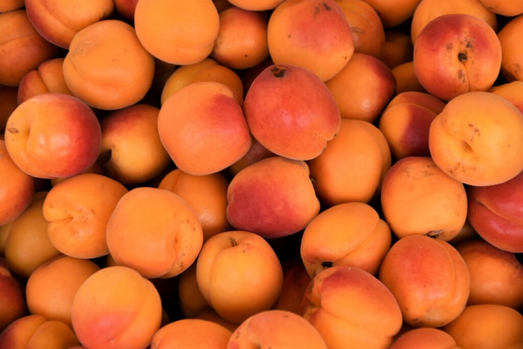 Apricots : health benefits