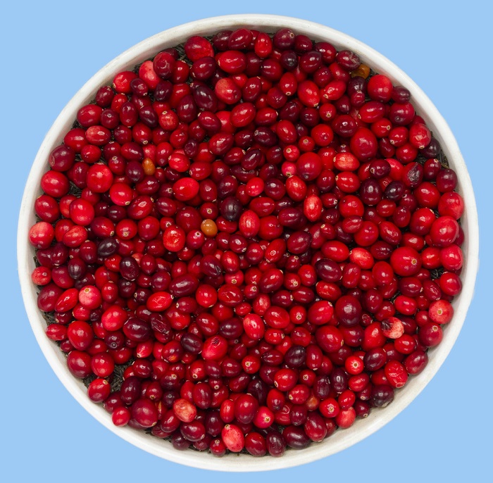 15 Health Benefits of Cranberries : Mohit Tandon Burr Ridge