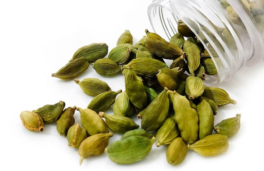 Health Benefits of Cardamom